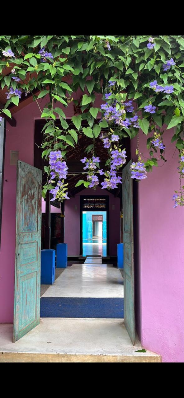Dickman Resort "The Boutique Hotel" Negombo Exterior photo